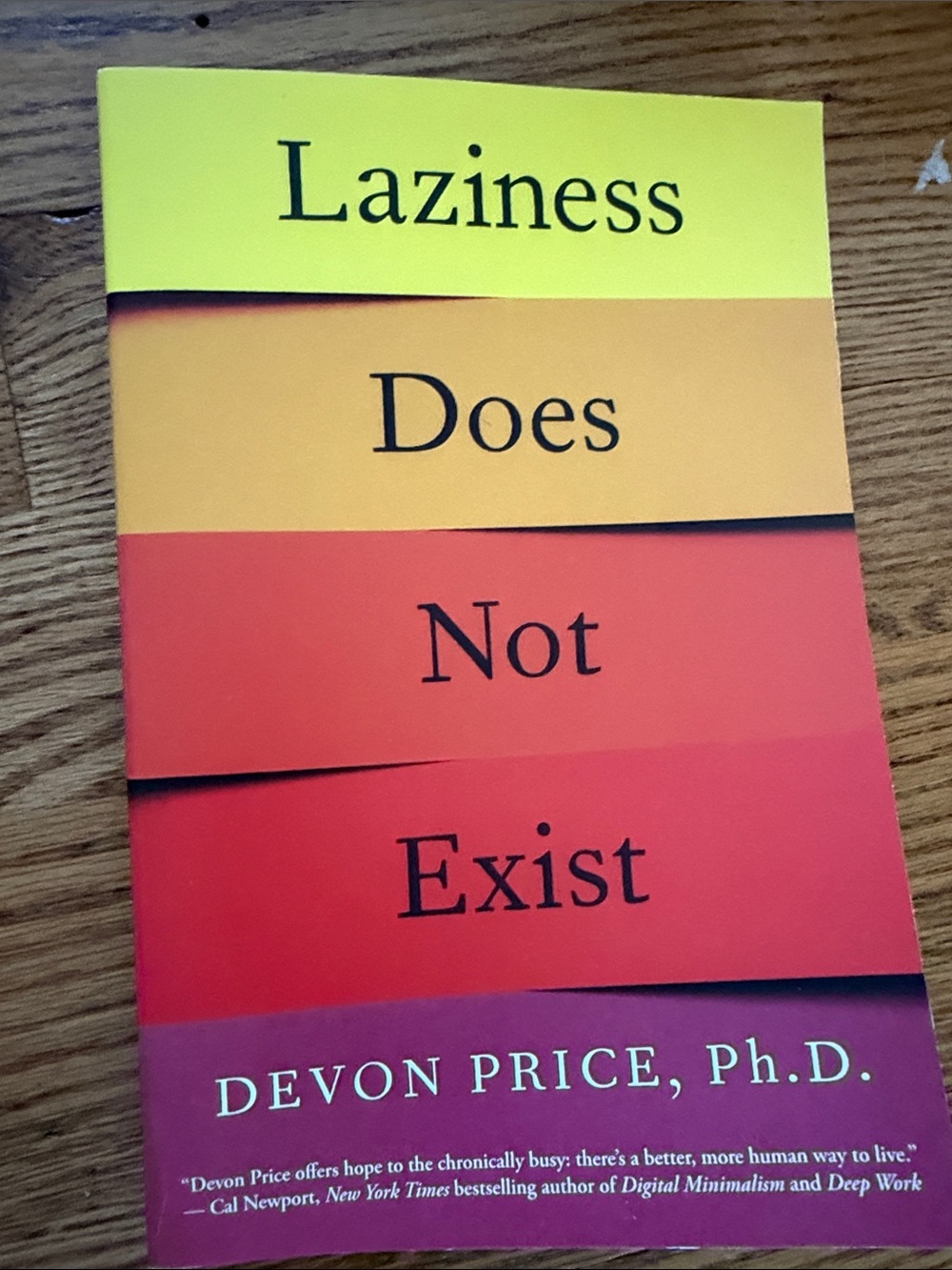 Devon Price Laziness Does Not Exist - Red Orange Yellow Paperback